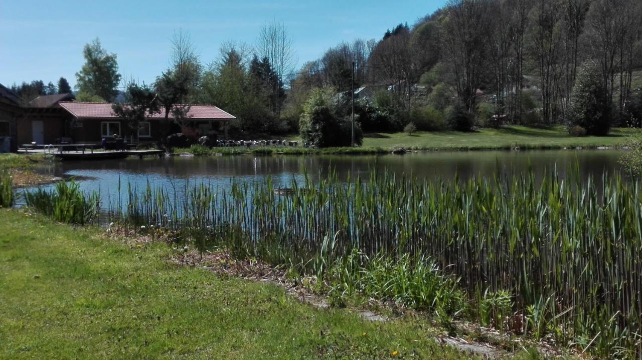 Les Ecureuils Holiday home *